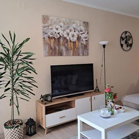 Holiday Home Apartment ブドヴァ エクステリア 写真