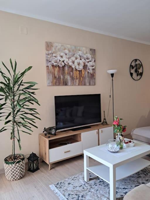 Holiday Home Apartment ブドヴァ エクステリア 写真