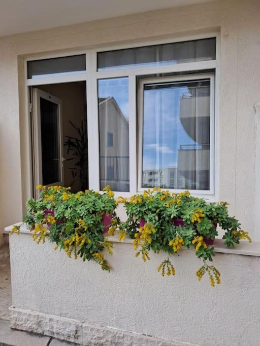 Holiday Home Apartment ブドヴァ エクステリア 写真